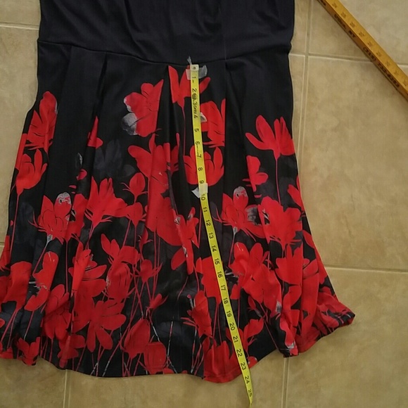 🌺Lily🌺 - Picture 5 of 7